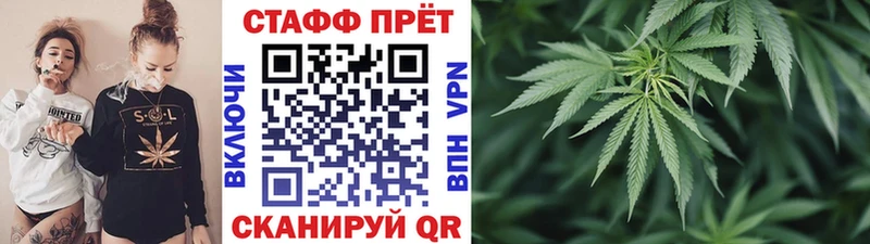 Где продают наркотики Тара Галлюциногенные грибы  ГАШ  Канабис 