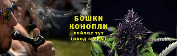 трава Беслан