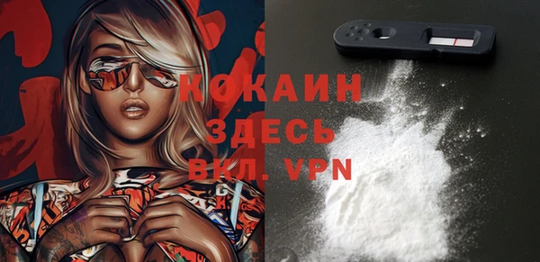 спайс Нея