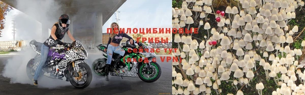 spice Надым