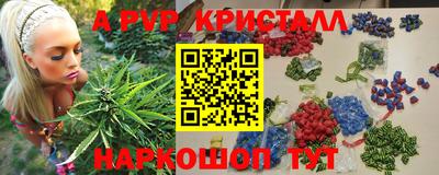 индика Канаш