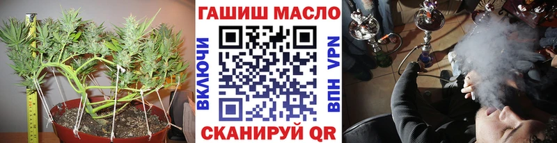 ссылка на мегу зеркало Тара Дистиллят ТГК вейп