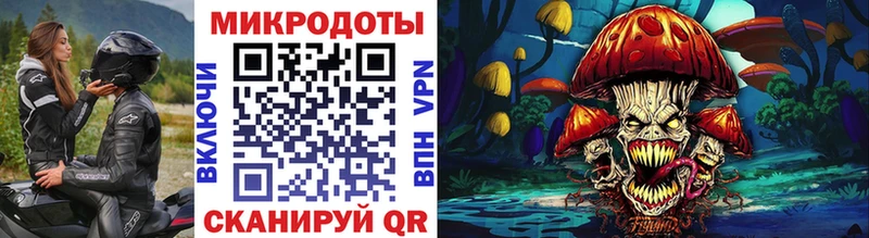 Псилоцибиновые грибы Psilocybe  Тара 