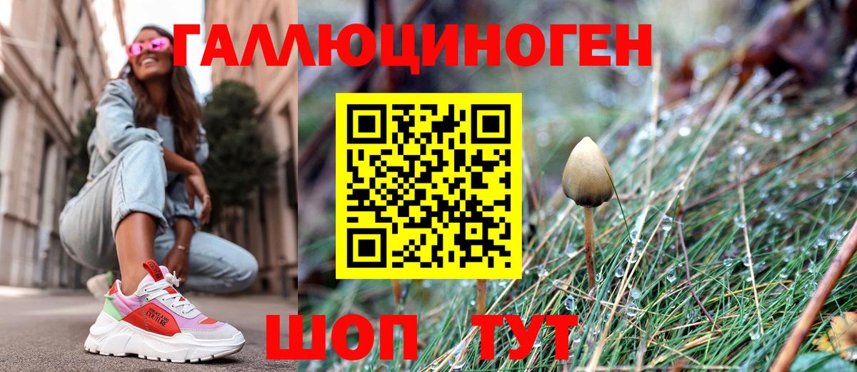 Галлюциногенные грибы Magic Shrooms  Псилоцибиновые грибы мицелий  Тара  Вход с VPN 