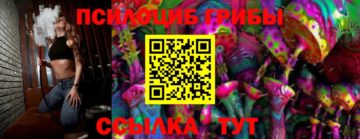 Галлюциногенные грибы Cubensis Тара
