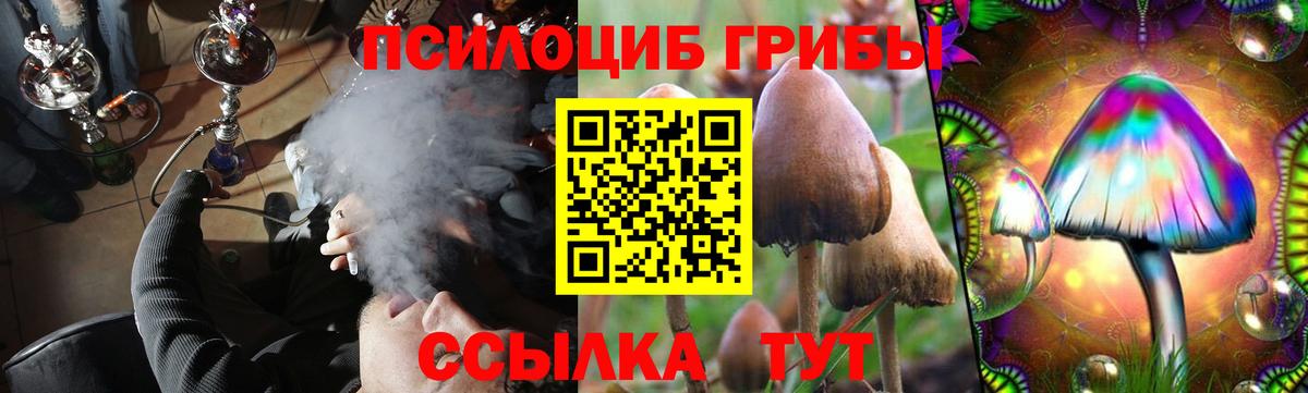 Псилоцибиновые грибы Psilocybe  Галлюциногенные грибы мухоморы  Тара 