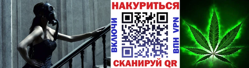 Бошки марихуана ГИДРОПОН Тара